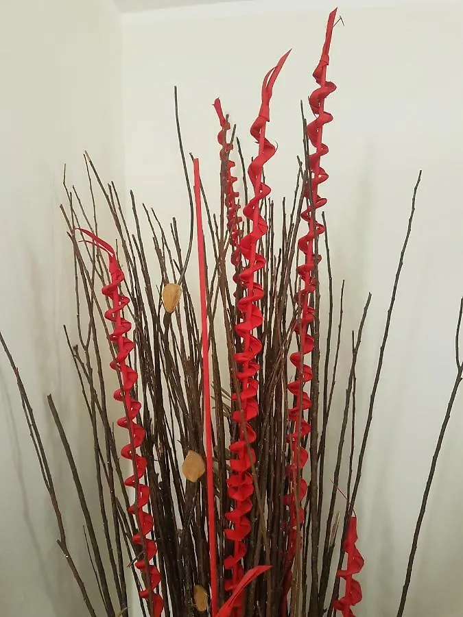 Momento Napoletano Apartment Naples